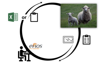When circumstances demand paper or spreadsheets, enos has the solution!